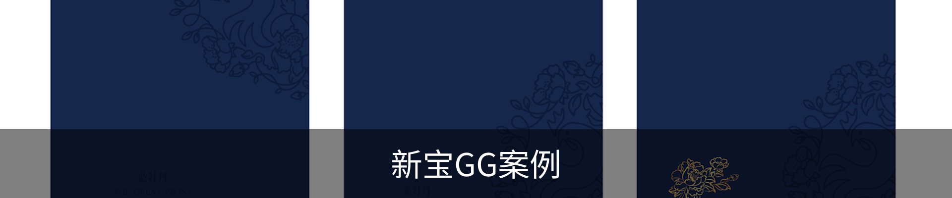 新宝GG案例